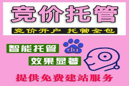 提升转化率：SEM广告投放的实战案例分享